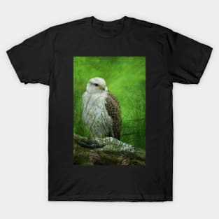 Gyr x Saker  Falcon T-Shirt